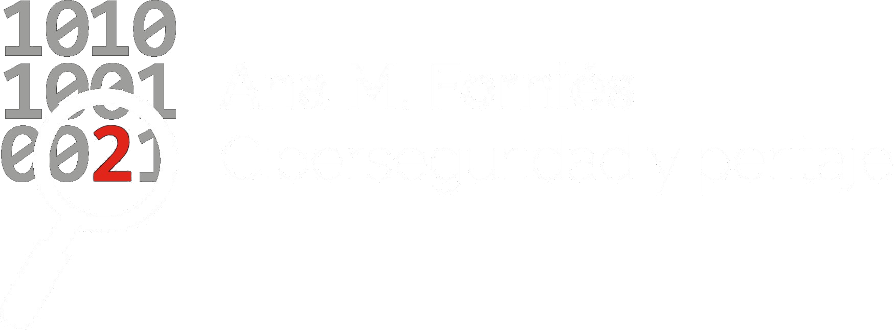 Ana M. Forniés · Ciberseguridad y peritaje